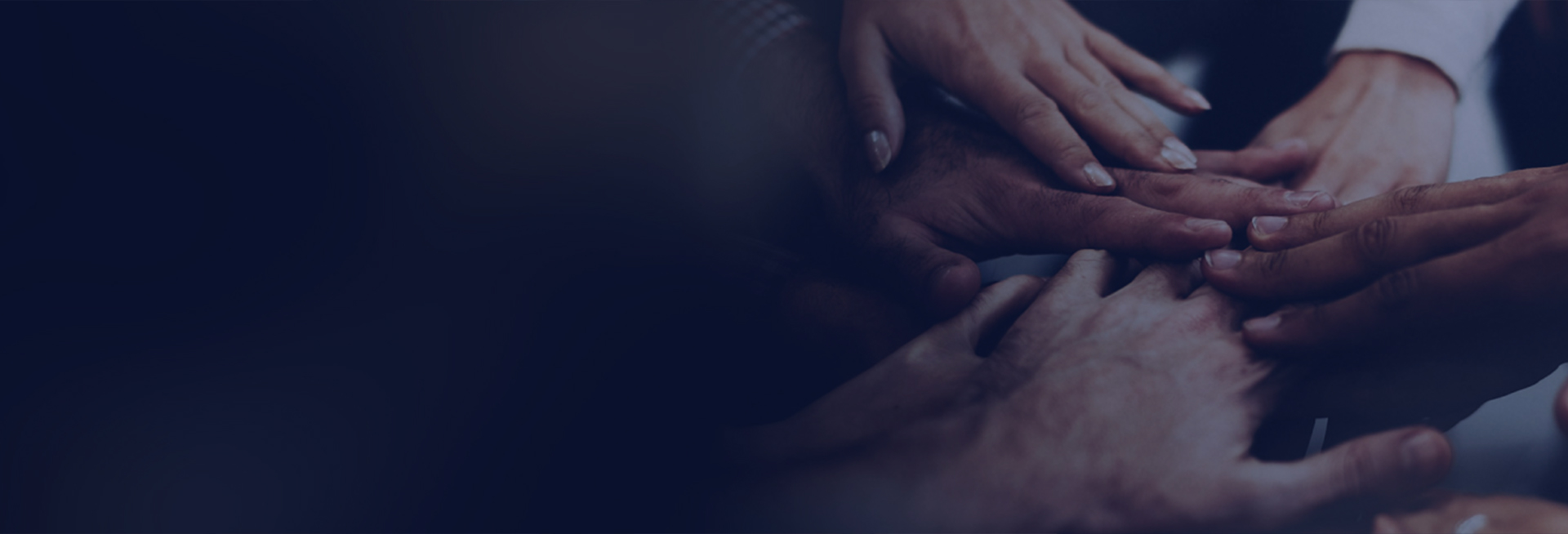 Business Process Services