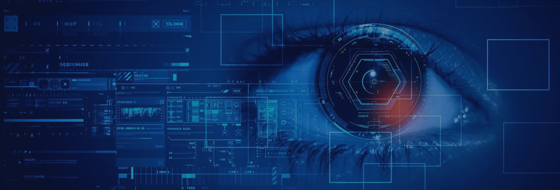 Business Process Services